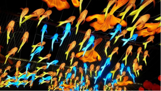 1760491042524 1760491042524