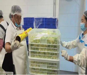 1760514727194 1760514727194