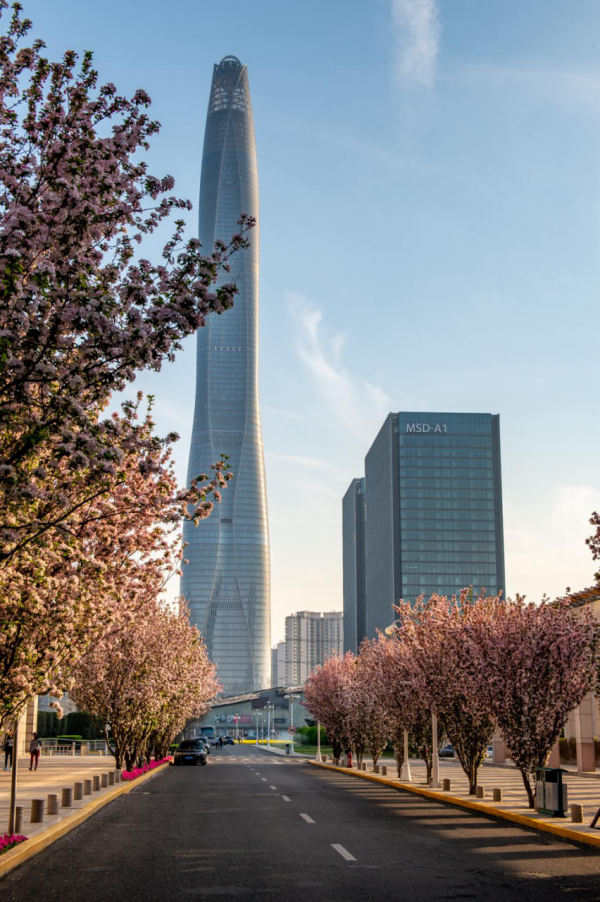 1765782418225 1765782418225